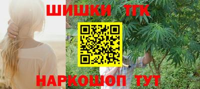 тгк Камышлов