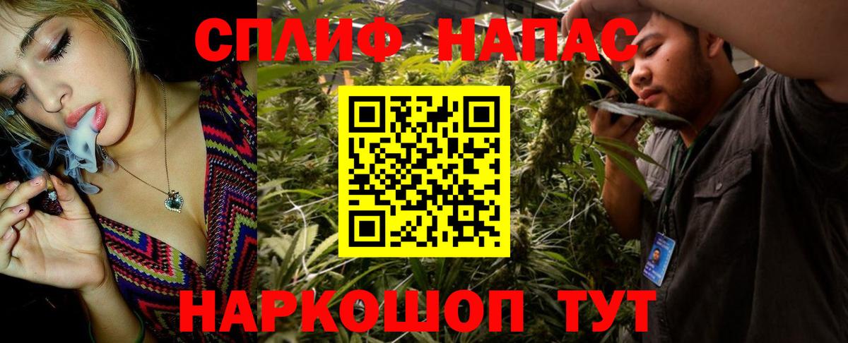 Каннабис ГИДРОПОН Калининград